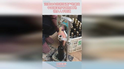 法國82年拉菲紅酒的神秘產(chǎn)地：中國城關(guān)村加工地鮮為人知的葡萄酒加工內(nèi)幕